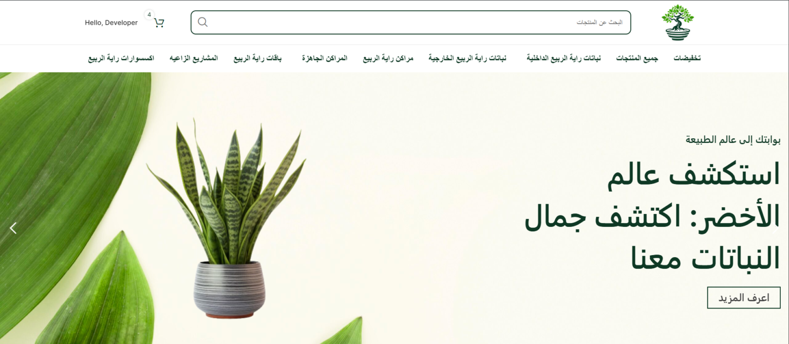 Screenshot 2024-12-05 061540